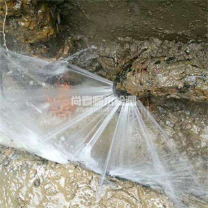 硚口消防管道漏水检测
